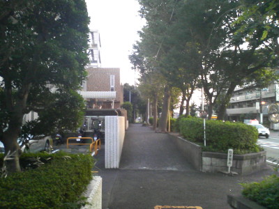 藤沢の歩道.JPG